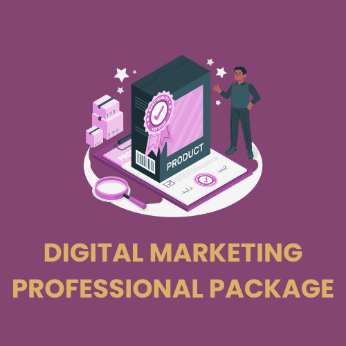 Digital Marketing Professional Plan