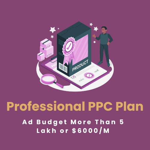 Professional PPC Plan
