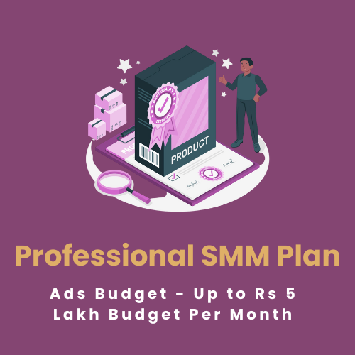Professional SMM Plan