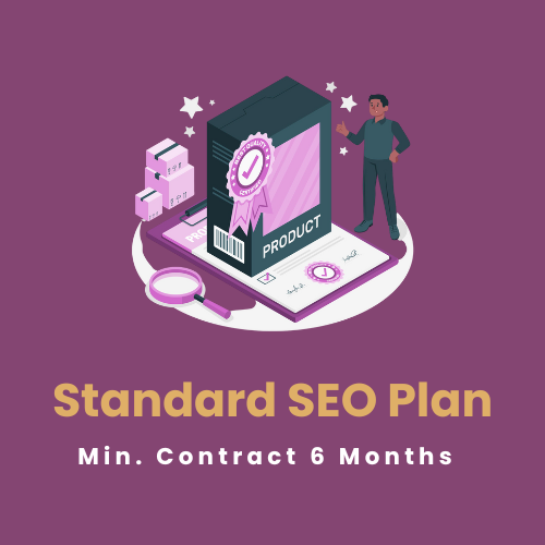 Standard SEO Plan